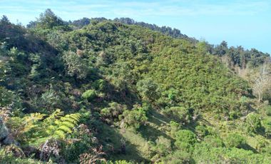 Terreno en venta en la zona de Teziutlán