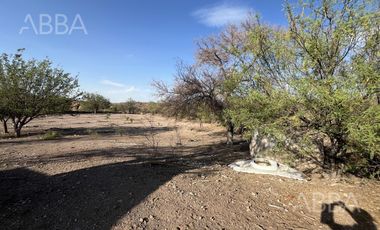 Finca en Venta en Labor de Dolores  8.6 has.