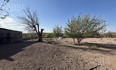 Finca en Venta en Labor de Dolores  8.6 has.