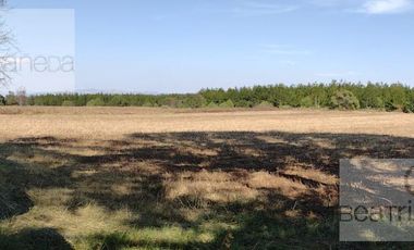 Terreno - Huasca de Ocampo