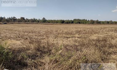 Terreno - Huasca de Ocampo
