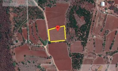 Terreno - Huasca de Ocampo