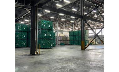 Amplia Bodega en Arraiján