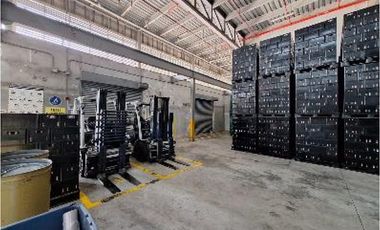 Amplia Bodega en Arraiján