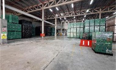 Amplia Bodega en Arraiján