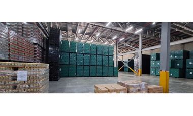 Amplia Bodega en Arraiján