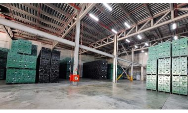 Amplia Bodega en Arraiján