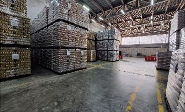 Amplia Bodega en Arraiján