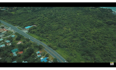 Se Vende Terreno de 4 Hectáreas en San Carlos