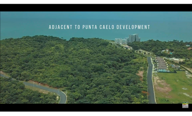 Se Vende Terreno de 8 Hectáreas en San Carlos