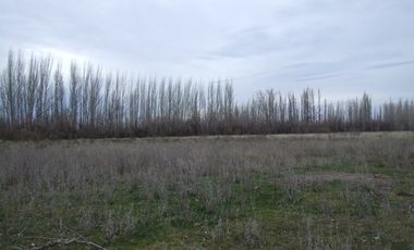 Chacra doce Hectareas y media