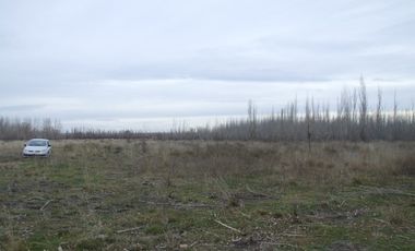 Chacra doce Hectareas y media