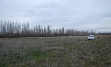 Chacra doce Hectareas y media