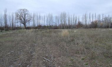 Chacra doce Hectareas y media