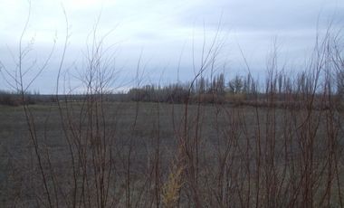 Chacra doce Hectareas y media