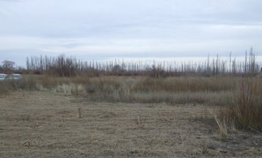 Chacra doce Hectareas y media