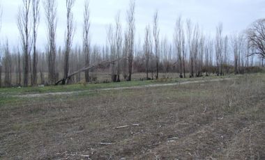 Chacra doce Hectareas y media