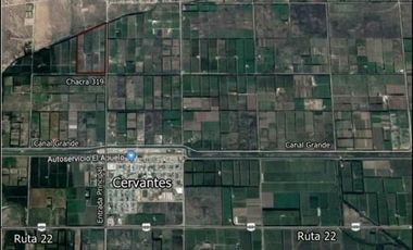 Chacra doce Hectareas y media