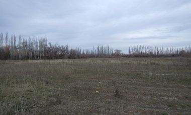 Chacra doce Hectareas y media