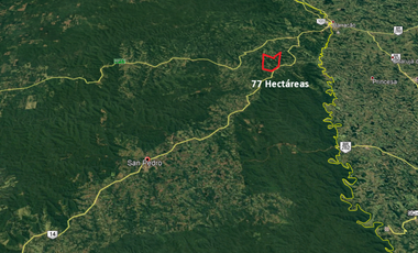 VENTA DE 77 HECTAREAS EN SAN PEDRO