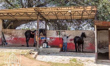 Venta de Cortijo. Lienzo Charro, Hotel, Eventos, Crianza, etc.  V