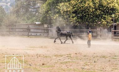 Venta de Cortijo. Lienzo Charro, Hotel, Eventos, Crianza, etc.  V