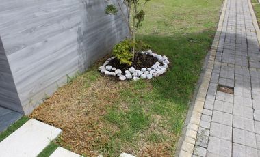 Casa en VENTA P. Colima Calle Comala L. de Angelópolis Cholula Puebla.