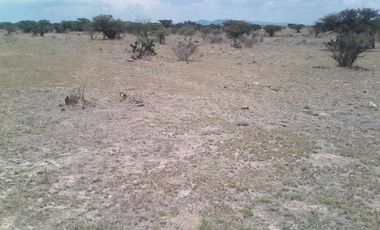 Venta de terreno en San José de la Ordeña, Aguascalientes.