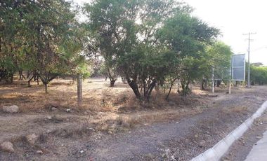 Venta de Terreno Rústico en El Charco Azul, Mpio. Asientos. Aguascalientes.