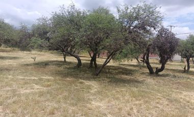 Venta de Terreno Rústico en El Charco Azul, Mpio. Asientos. Aguascalientes.