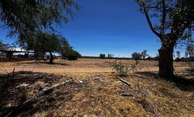 Terreno - Ejido La Escondida