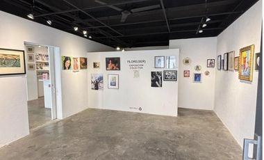 COLONIA CENTRO. local en venta