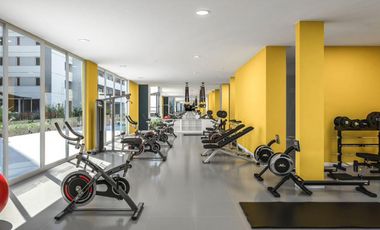 Depto. de Categoria Amoblado.