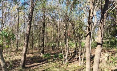 CAMPO EN VENTA 1.25 hectareas CONCEPCION DEL URUGUAY, ENTRE RIOS