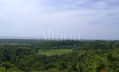 Terreno en El Zapotal, Mazunte