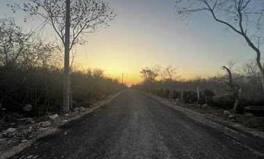 Terreno en  VENTA excelente precio al Norte de Mérida