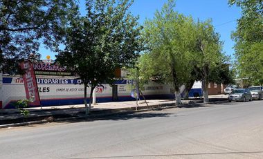 Local - Jiménez