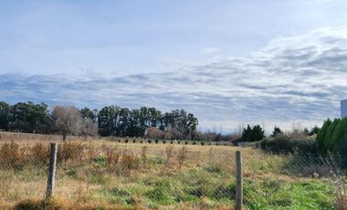 LOTE A 300 METROS DE ACCESO PRINCIPAL