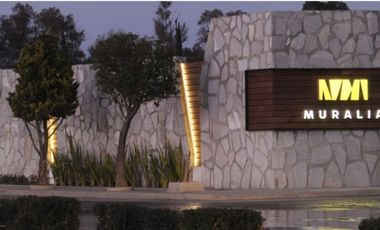 Terreno - Fraccionamiento Palmas del Pedregal