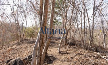 TERRENO EN VENTA BAHIAS DE HUATULCO (CERCA DEL AEROPUERTO DE HUATULCO)