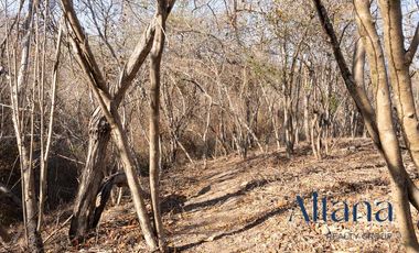 TERRENO EN VENTA BAHIAS DE HUATULCO (CERCA DEL AEROPUERTO DE HUATULCO)