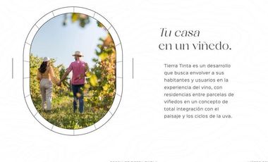 Gran Preventa de terrenos habitacionales Tierra Tinta Aguascalientes