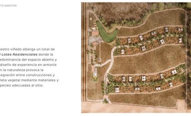 Gran Preventa de terrenos habitacionales Tierra Tinta Aguascalientes