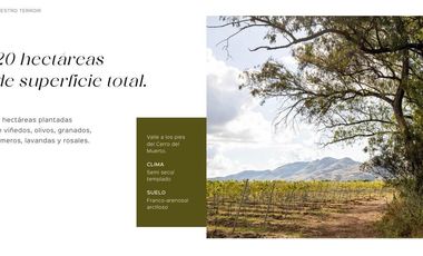 Gran Preventa de terrenos habitacionales Tierra Tinta Aguascalientes