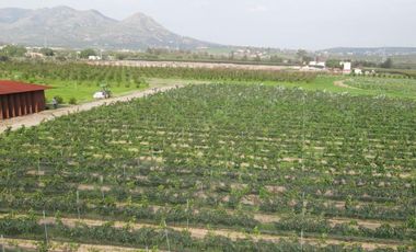 Gran Preventa de terrenos habitacionales Tierra Tinta Aguascalientes