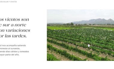 Gran Preventa de terrenos habitacionales Tierra Tinta Aguascalientes