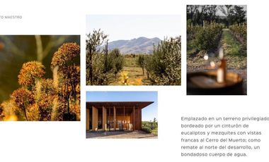 Gran Preventa de terrenos habitacionales Tierra Tinta Aguascalientes