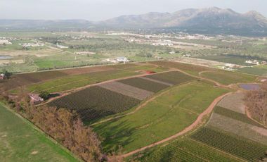 Gran Preventa de terrenos habitacionales Tierra Tinta Aguascalientes