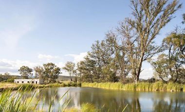 Gran Preventa de terrenos habitacionales Tierra Tinta Aguascalientes