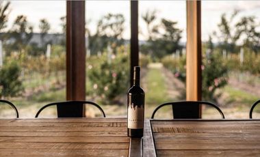 Gran Preventa de terrenos habitacionales Tierra Tinta Aguascalientes